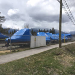 Boats covered in blue protective covers
